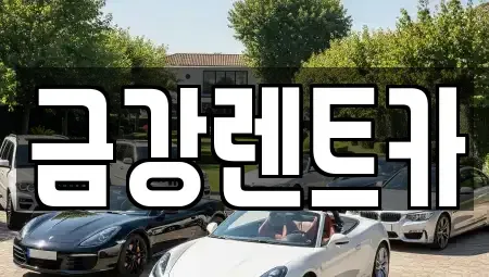 경기 수원시 장안구 이목동 렌트카 전문 금강렌트카