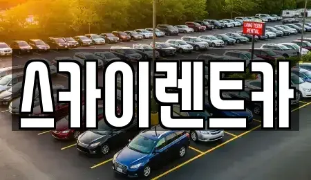 경기 수원시 장안구 이목동 렌트카 전문 스카이렌트카