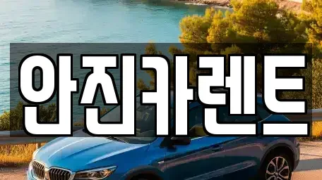 경기 수원시 장안구 이목동 장기렌트카 전문 안진카렌트