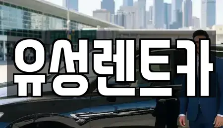 경기 수원시 팔달구 신풍동 렌트카 전문 유성렌트카