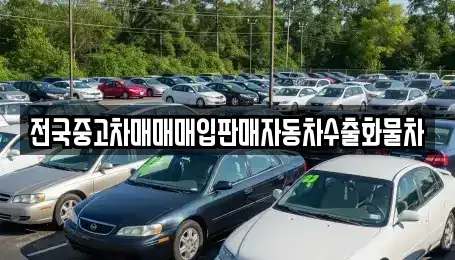 경기 수원시 팔달구 신풍동 중고차 전문 전국중고차매매매입판매자동차수출화물차