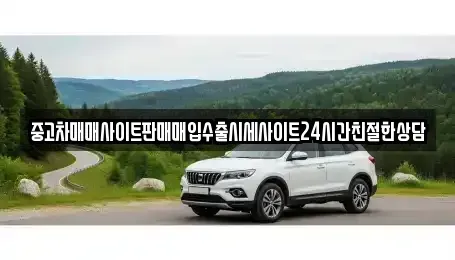 경기 수원시 팔달구 신풍동 중고차 전문 중고차매매사이트판매매입수출시세사이트24시간친절한상담
