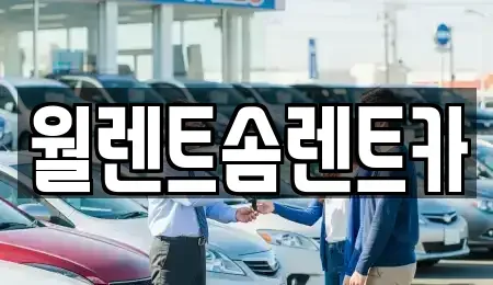 경기 안산시 단원구 와동 렌트카 전문 월렌트솜렌트카
