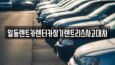 경기 안산시 단원구 와동 장기렌트카 전문 일등렌트카렌터카장기렌트리스사고대차