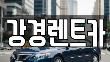 경기 안산시 단원구 원시동 렌트카 전문 강경렌트카