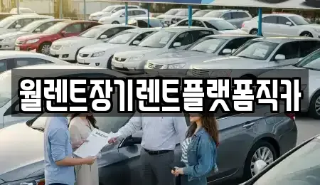 경기 안산시 단원구 원시동 장기렌트카 전문 월렌트장기렌트플랫폼직카