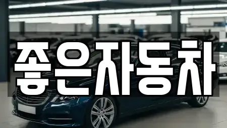 경기 안산시 단원구 원시동 중고차매매 전문 좋은자동차