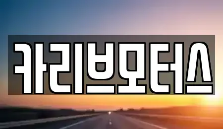 경기 안산시 단원구 원시동 중고차매매 전문 카리브모터스