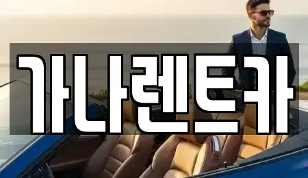 경기 안성시 봉산동 렌트카 전문 가나렌트카