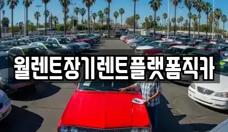 경기 안성시 봉산동 장기렌트카,중고차,렌트카,단기렌트카,중고차매입,중고차매매