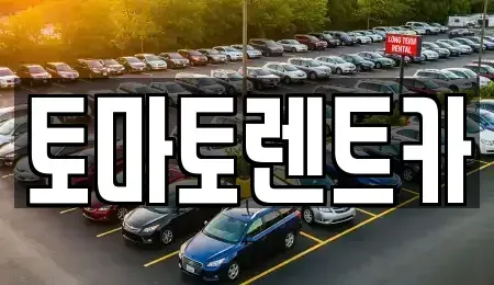 경기 안성시 영동 렌트카 전문 토마토렌트카
