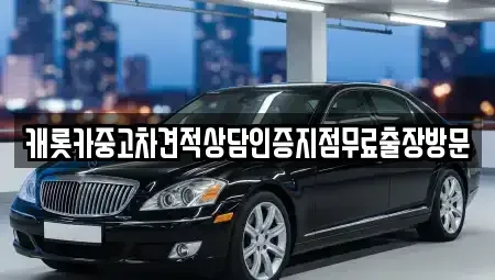 경기 안성시 영동 중고차,렌트카,중고차매입,중고차매매,장기렌트카,단기렌트카