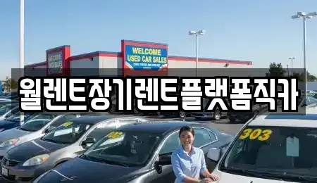 경기 안성시 현수동 렌트카 전문 월렌트장기렌트플랫폼직카