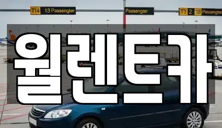 경기 안성시 현수동 렌트카 전문 월렌트카