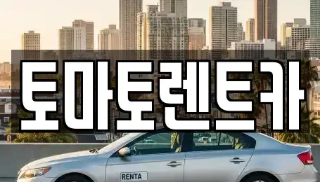 경기 안성시 현수동 렌트카 전문 토마토렌트카