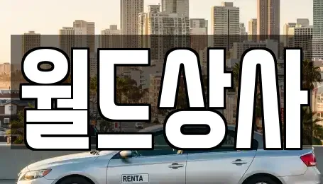 경기 안성시 현수동 중고차매매 전문 월드상사