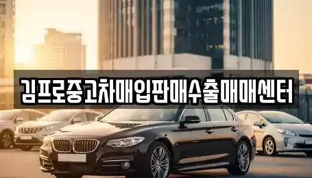 경기 안성시 현수동 중고차매입 전문 김프로중고차매입판매수출매매센터
