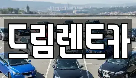 경기 안양시 만안구 석수동 렌트카 전문 드림렌트카
