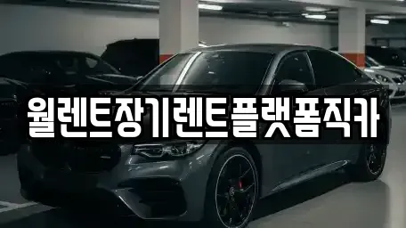 경기 안양시 만안구 석수동 장기렌트카 전문 월렌트장기렌트플랫폼직카