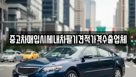 경기 안양시 만안구 석수동 중고차매입 전문 중고차매입시세내차팔기견적가격수출업체