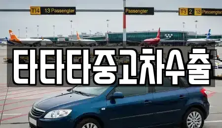 경기 양주시 백석읍 중고차 전문 타타타중고차수출