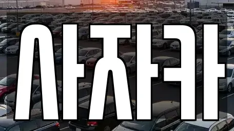경기 양주시 백석읍 중고차매입 전문 사자카