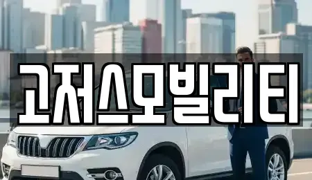 경기 오산시 세교동 렌트카 전문 고저스모빌리티