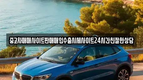 경기 오산시 세교동 중고차매입 전문 중고차매매사이트판매매입수출시세사이트24시간친절한상담
