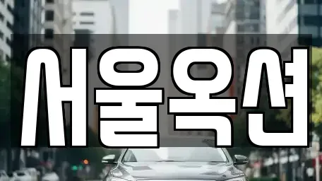 경기 용인시 처인구 남사읍 중고차매매 전문 서울옥션