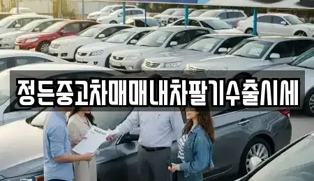 경기 용인시 처인구 남사읍 중고차매매 전문 정든중고차매매내차팔기수출시세