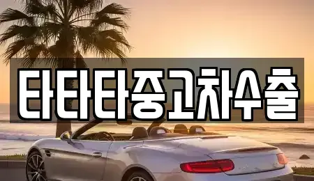 경기 용인시 처인구 남사읍 중고차매매 전문 타타타중고차수출