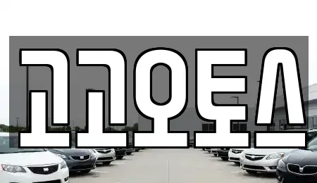 경기 의왕시 렌트카 전문 고고오토스