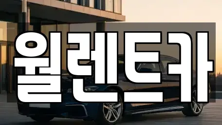 경기 이천시 부발읍 렌트카 전문 월렌트카