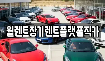 경기 이천시 부발읍 장기렌트카 전문 월렌트장기렌트플랫폼직카
