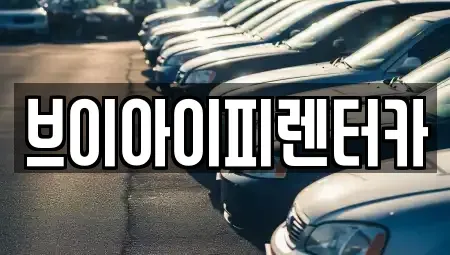 경기 파주시 다율동 렌트카 전문 브이아이피렌터카