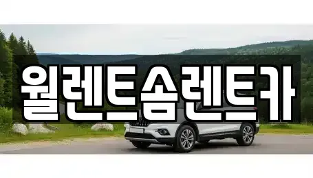 경기 파주시 다율동 렌트카 전문 월렌트솜렌트카