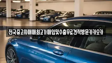경기 파주시 다율동 중고차 전문 전국중고차매매최고가매입및수출무료견적방문카카오카