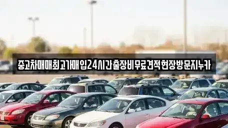 경기 파주시 다율동 중고차매입 전문 중고차매매최고가매입24시간출장비무료견적현장방문지누카