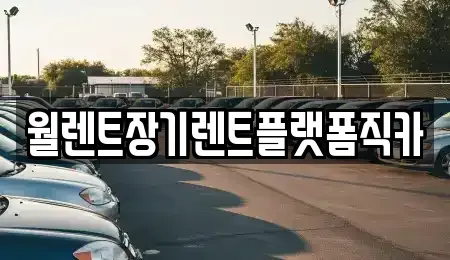 경기 파주시 장기렌트카 전문 월렌트장기렌트플랫폼직카