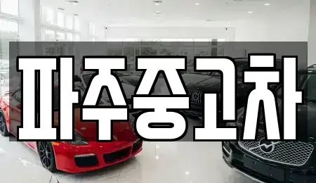 경기 파주시 중고차매매 전문 파주중고차