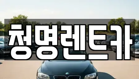 경기 화성시 기산동 단기렌트카 전문 청명렌트카