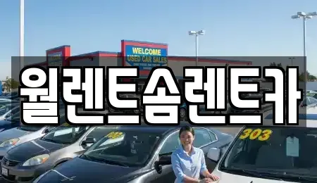 경기 화성시 기산동 렌트카 전문 월렌트솜렌트카