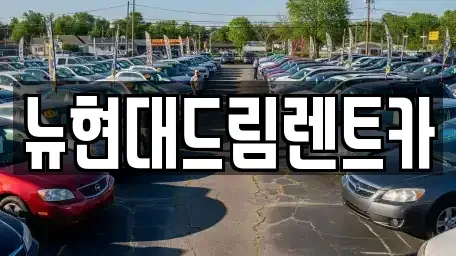 경기 화성시 배양동 렌트카 전문 뉴현대드림렌트카