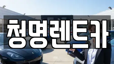 경기 화성시 배양동 렌트카 전문 청명렌트카