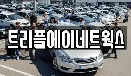 경기 화성시 새솔동 렌트카 전문 트리플에이네트웍스