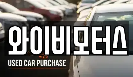 경기 화성시 새솔동 중고차매매 전문 와이비모터스