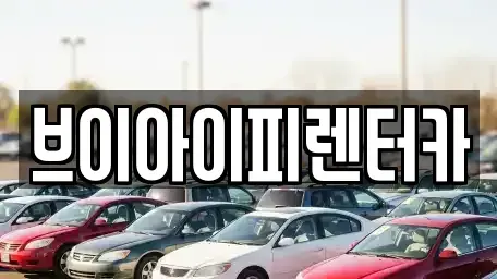 경기 화성시 장지동 렌트카 전문 브이아이피렌터카