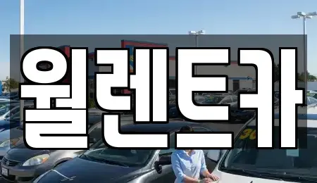 경기 화성시 장지동 렌트카 전문 월렌트카