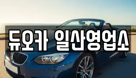 경기도 고양시 덕양구 화정동 장기렌트카,중고차,렌트카,단기렌트카,중고차매입,중고차매매