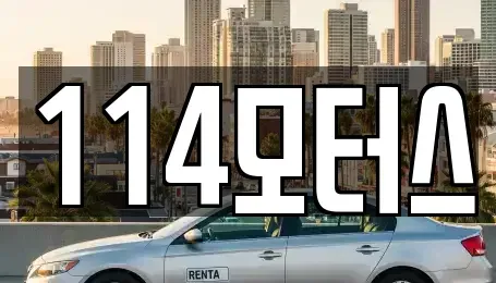 경기도 고양시 덕양구 화정동 중고차 전문 114모터스